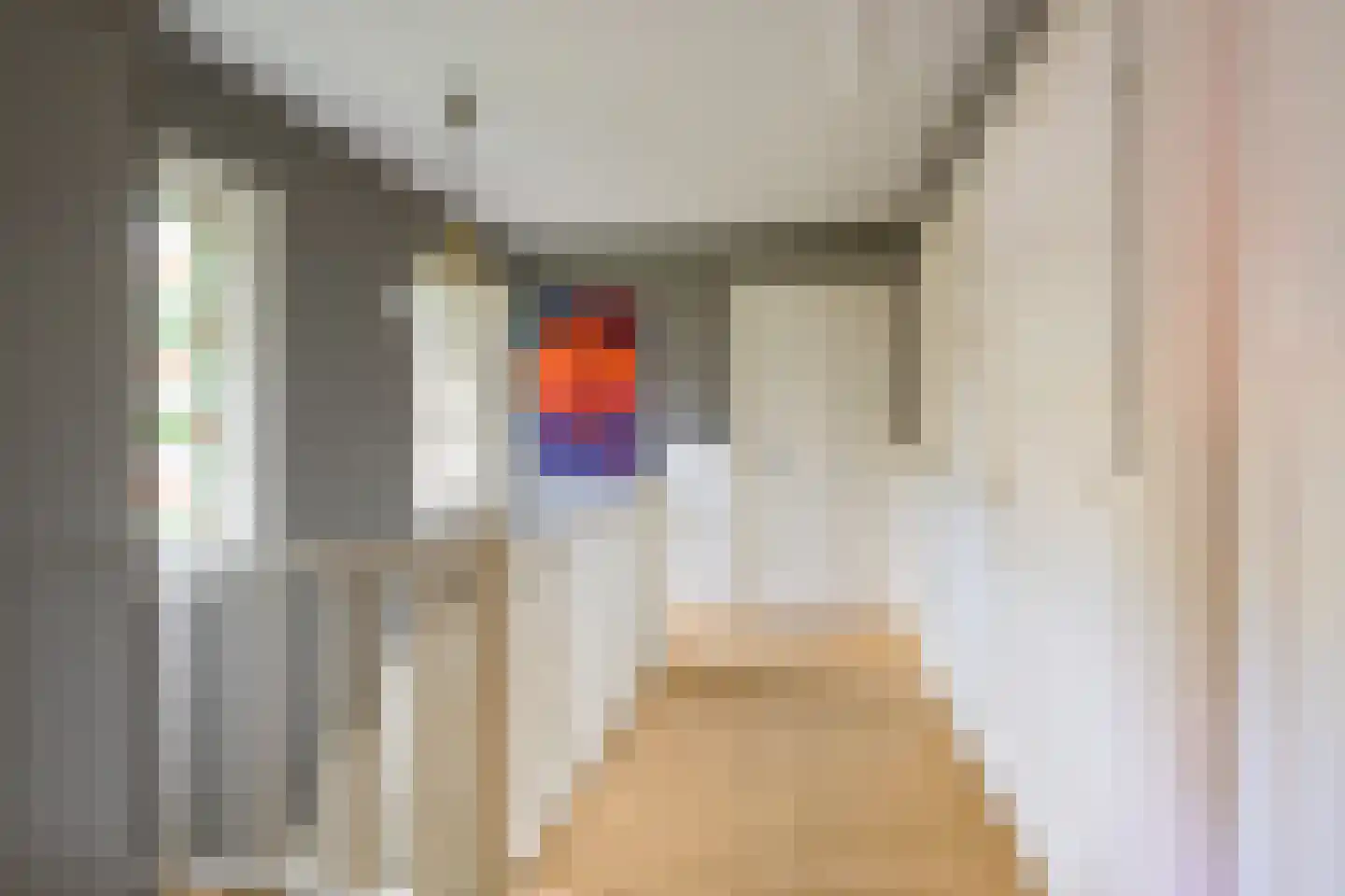 Laan van Avegoor 20 Ellecom thumbnail 20