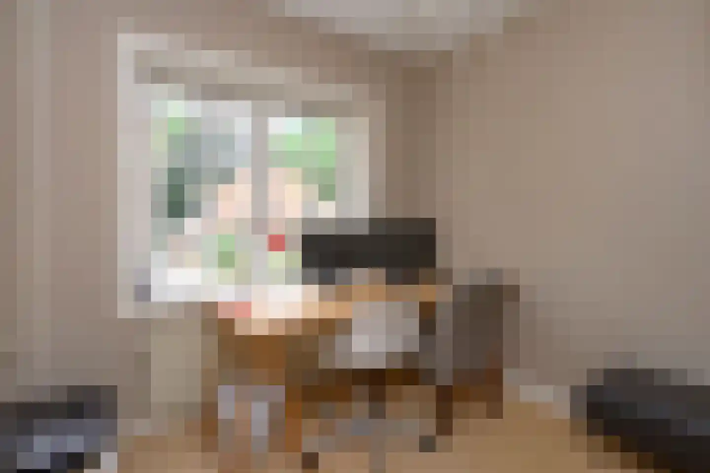 Laan van Avegoor 20 Ellecom thumbnail 23