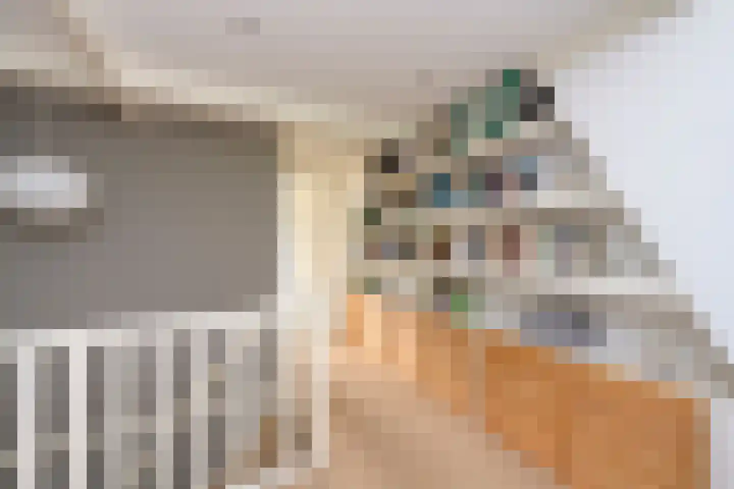 Laan van Avegoor 20 Ellecom thumbnail 26