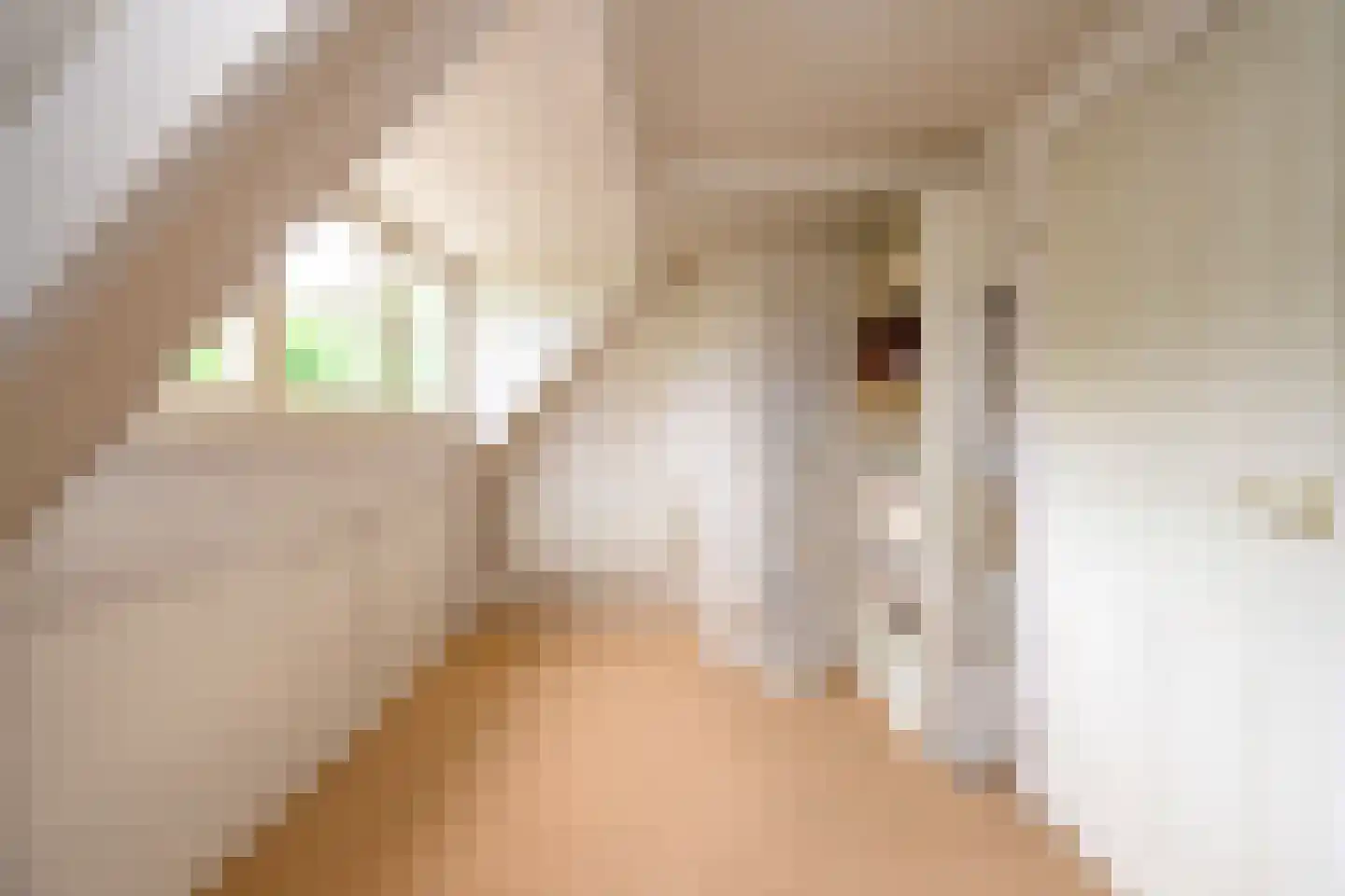 Laan van Avegoor 20 Ellecom thumbnail 27