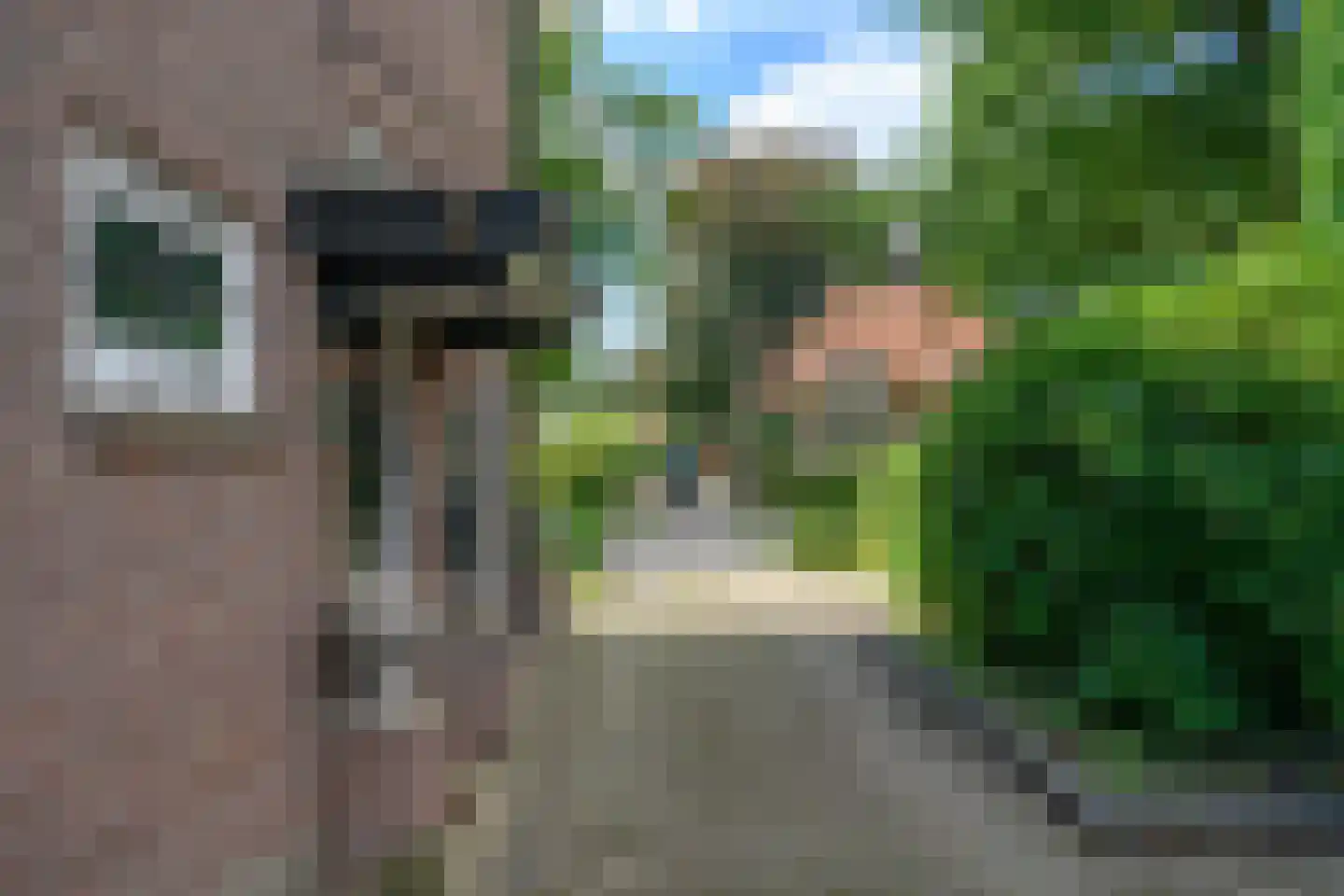 Laan van Avegoor 20 Ellecom thumbnail 35