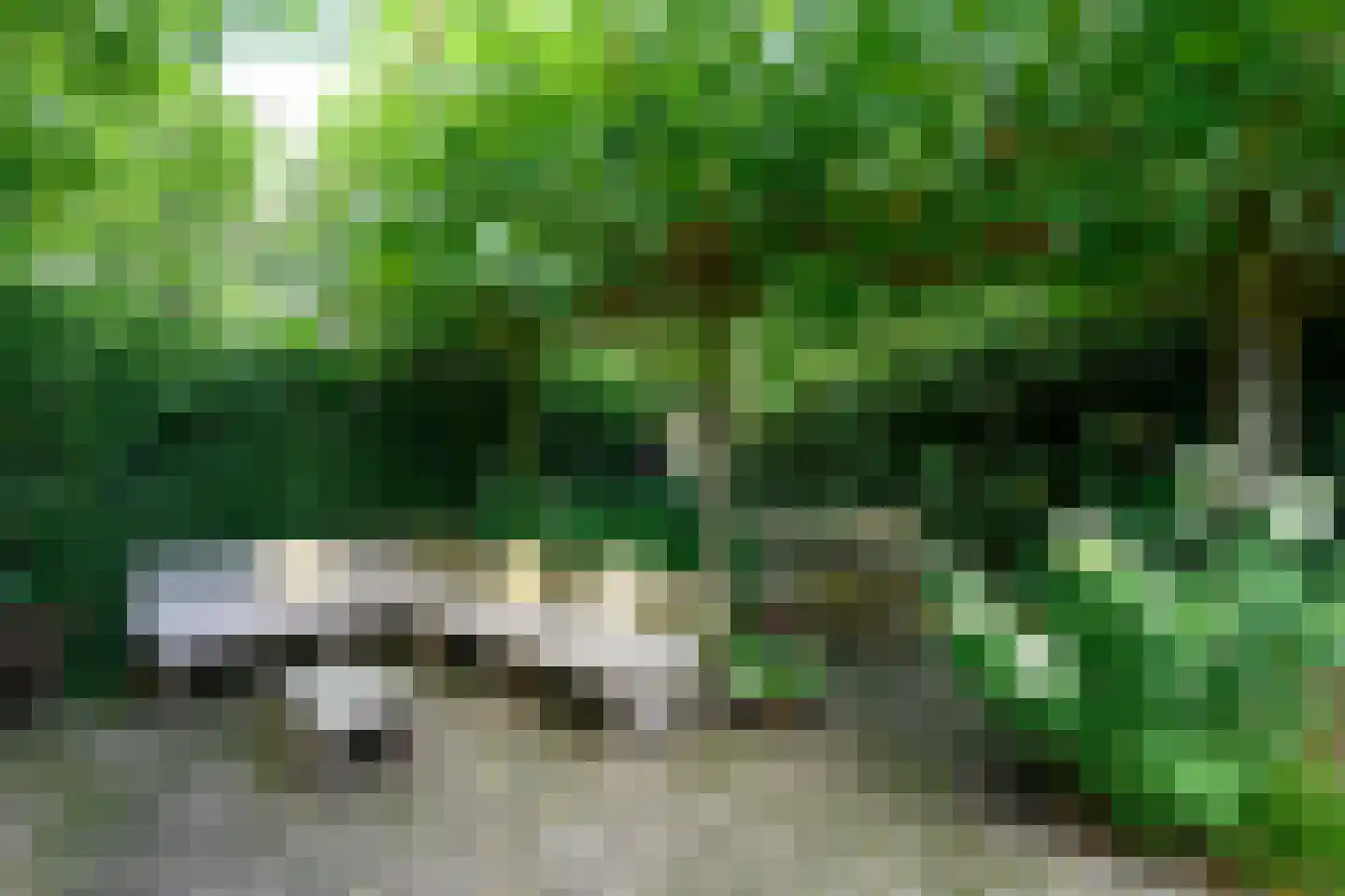 Laan van Avegoor 20 Ellecom thumbnail 37