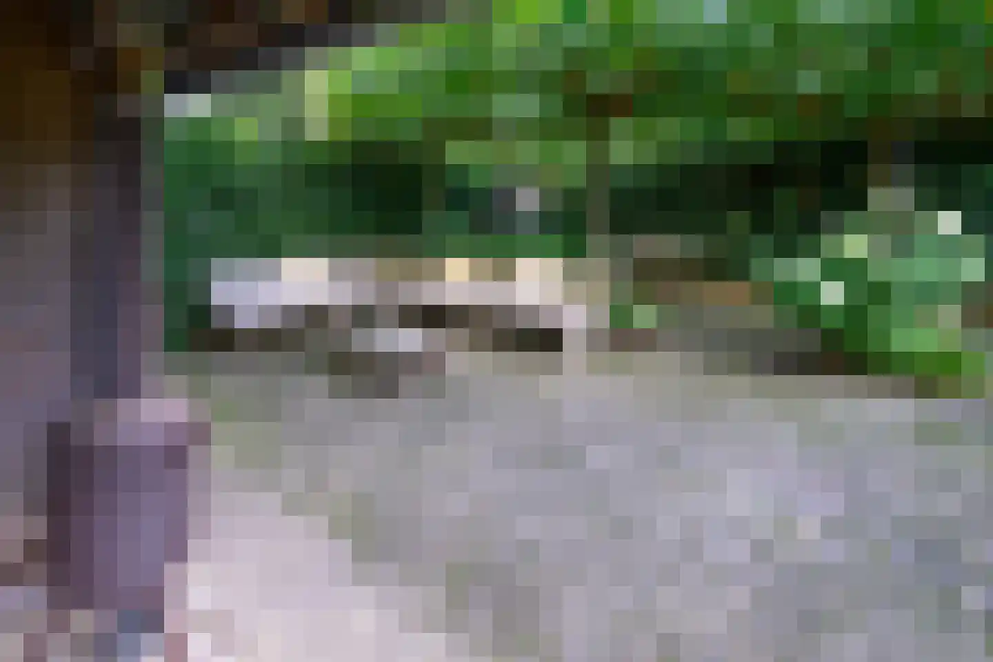 Laan van Avegoor 20 Ellecom thumbnail 38