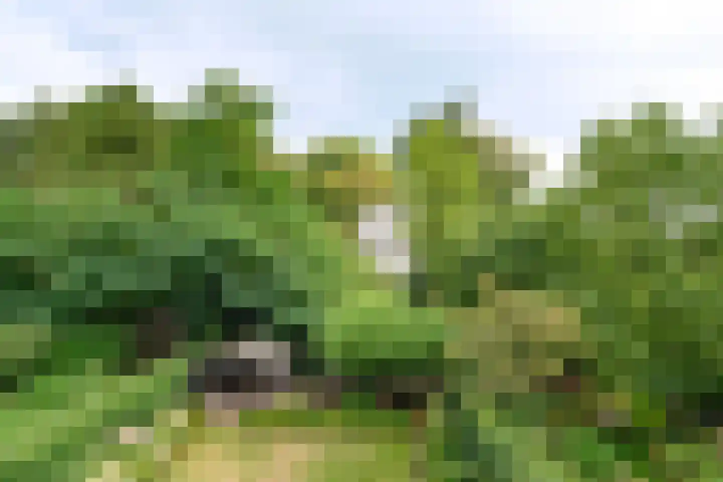 Laan van Avegoor 20 Ellecom thumbnail 41