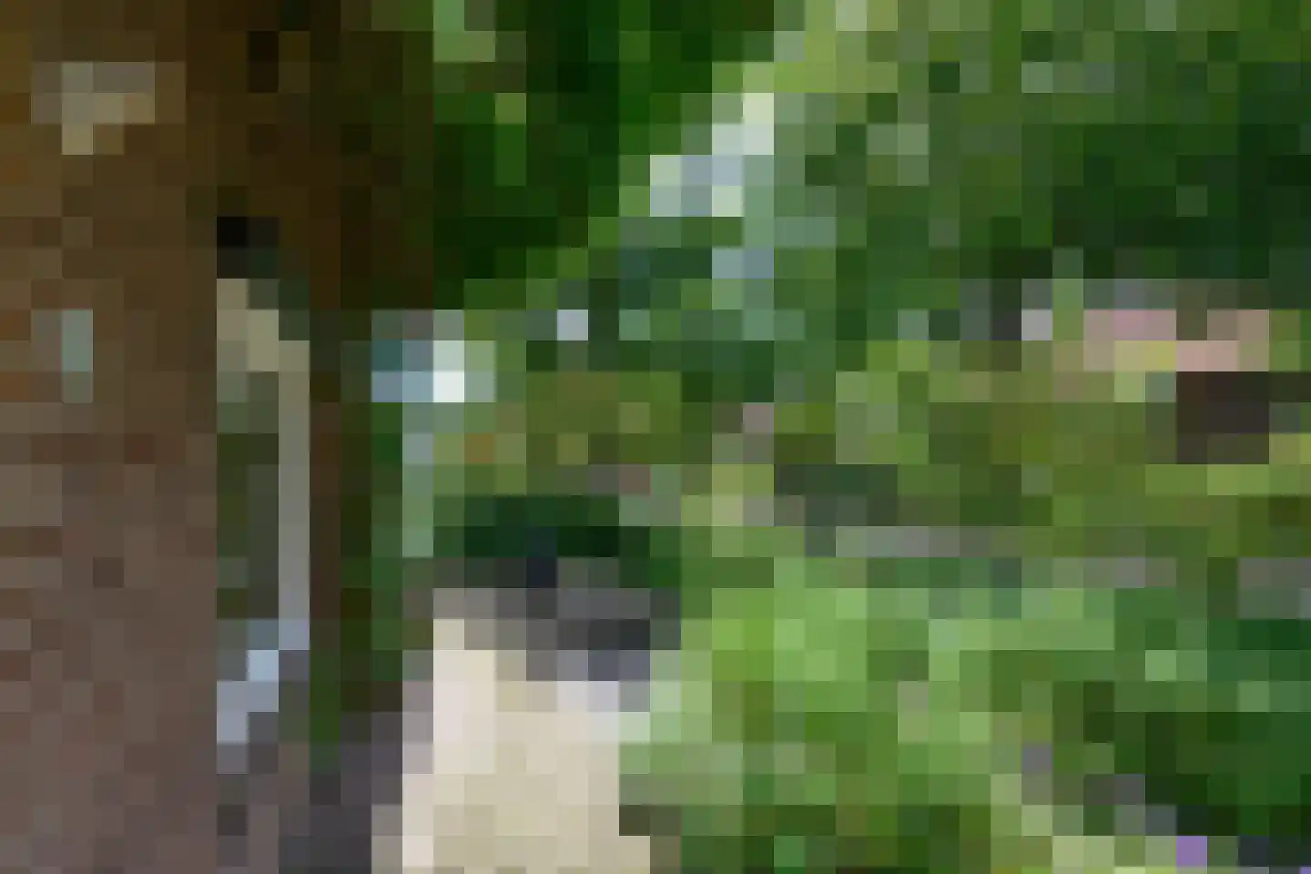 Laan van Avegoor 20 Ellecom thumbnail 43