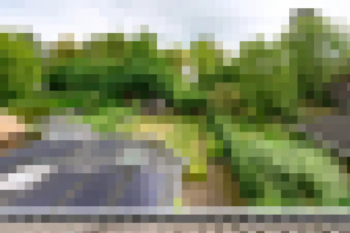 Laan van Avegoor 20 Ellecom thumbnail 45