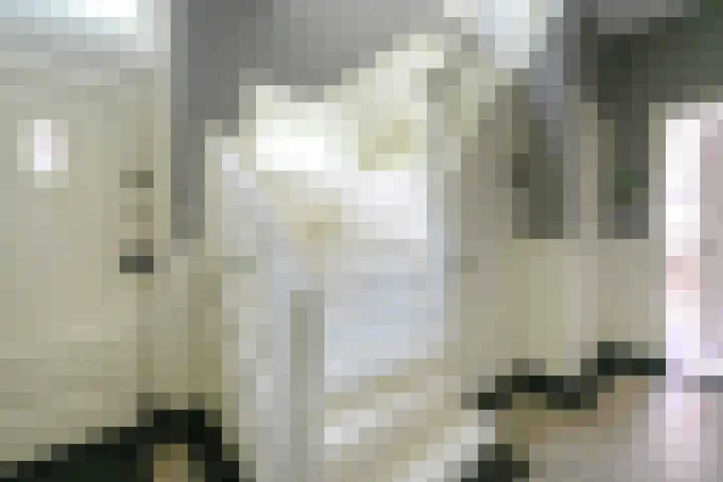 Laan van Avegoor 20 Ellecom thumbnail 7