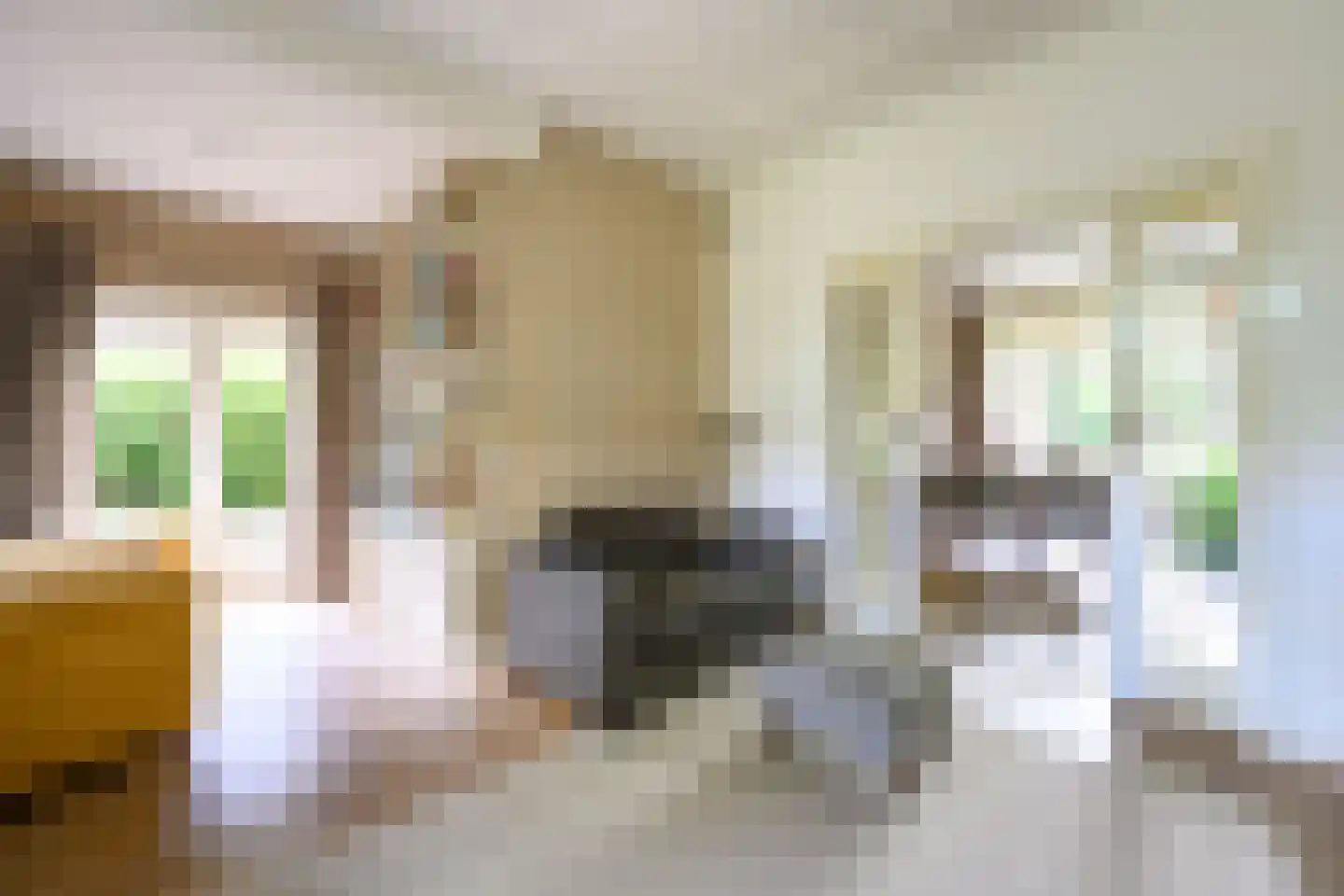Laan van Avegoor 20 Ellecom thumbnail 8