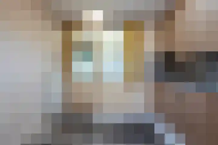 Laan van Barbestein 7 Heinkenszand thumbnail 10