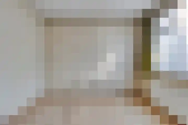 Laan van Barbestein 7 Heinkenszand thumbnail 12