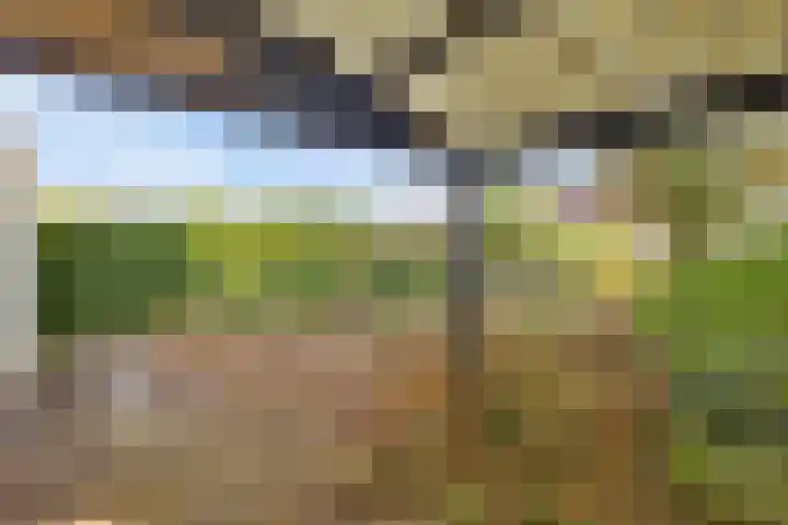 Laan van Barbestein 7 Heinkenszand thumbnail 19