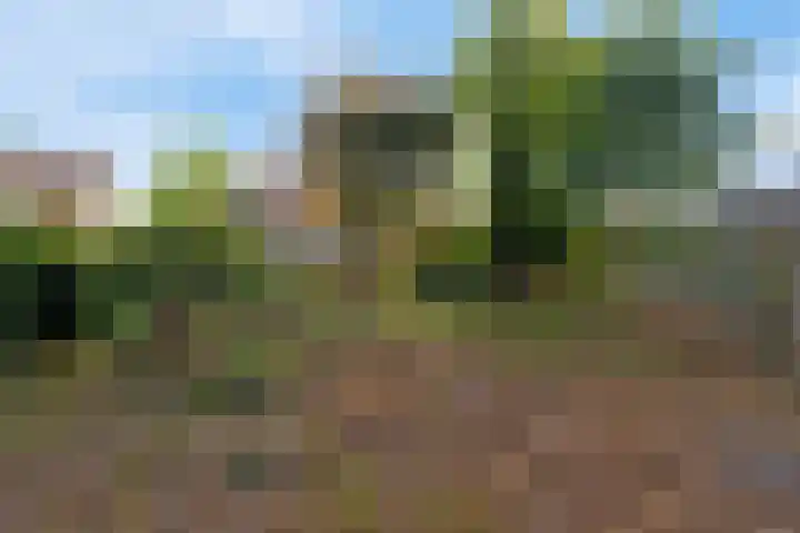 Laan van Barbestein 7 Heinkenszand thumbnail 20
