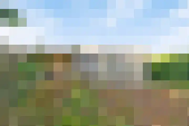 Laan van Barbestein 7 Heinkenszand thumbnail 21