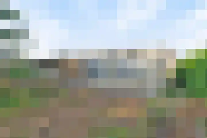 Laan van Barbestein 7 Heinkenszand thumbnail 22