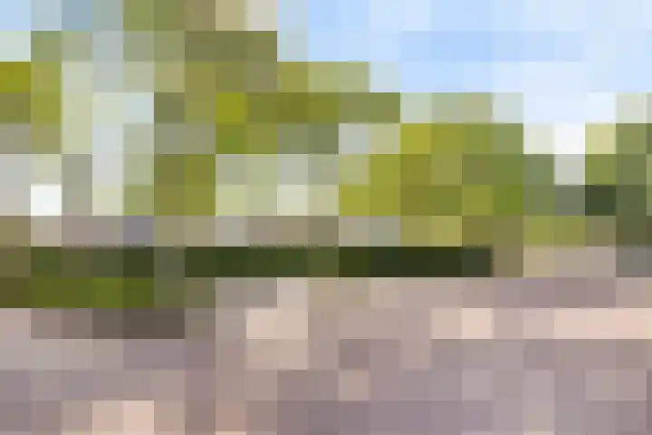 Laan van Barbestein 7 Heinkenszand thumbnail 23
