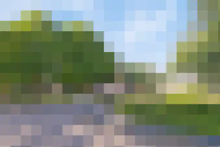 Laan van Barbestein 7 Heinkenszand thumbnail 24