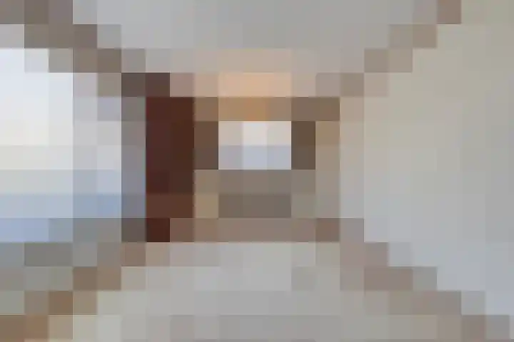 Laan van Barbestein 7 Heinkenszand thumbnail 8