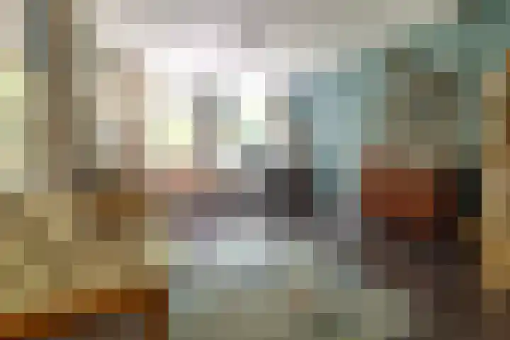 Laan van Beek en Royen 9 Zeist thumbnail 15