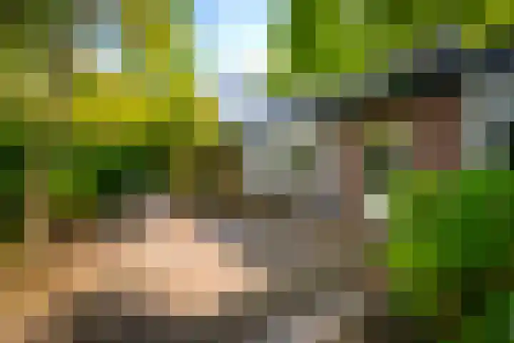 Laan van Beek en Royen 9 Zeist thumbnail 28