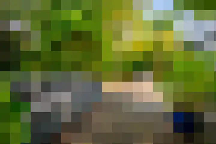 Laan van Beek en Royen 9 Zeist thumbnail 29