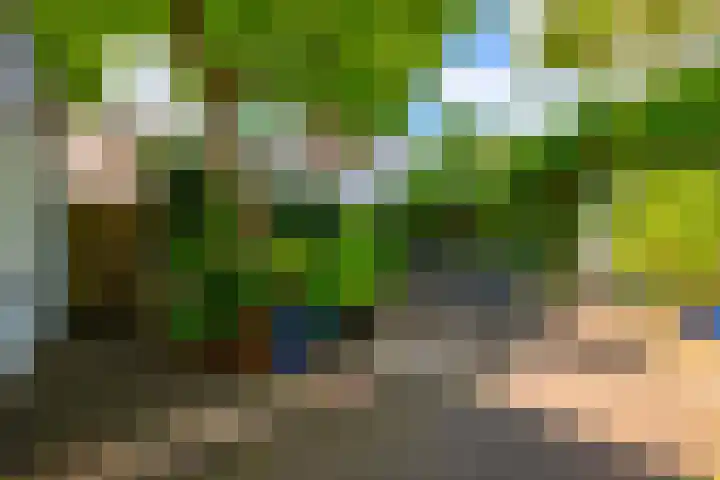 Laan van Beek en Royen 9 Zeist thumbnail 30