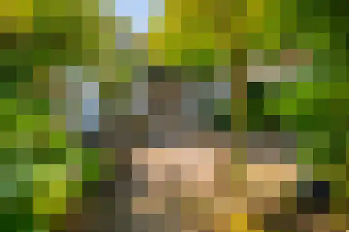 Laan van Beek en Royen 9 Zeist thumbnail 31