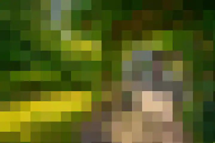 Laan van Beek en Royen 9 Zeist thumbnail 32