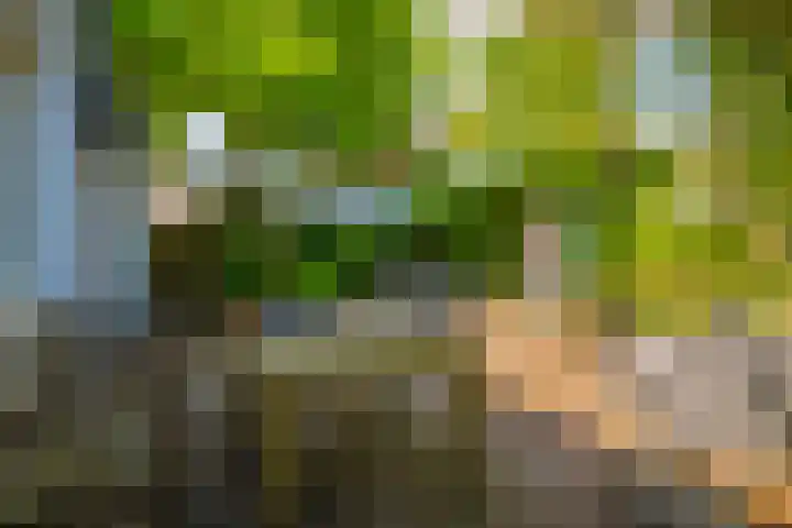 Laan van Beek en Royen 9 Zeist thumbnail 33