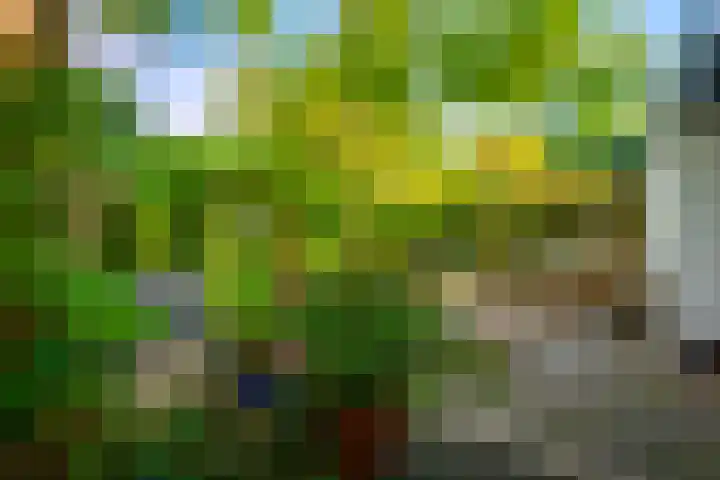 Laan van Beek en Royen 9 Zeist thumbnail 34