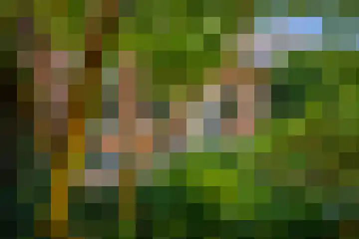 Laan van Beek en Royen 9 Zeist thumbnail 35