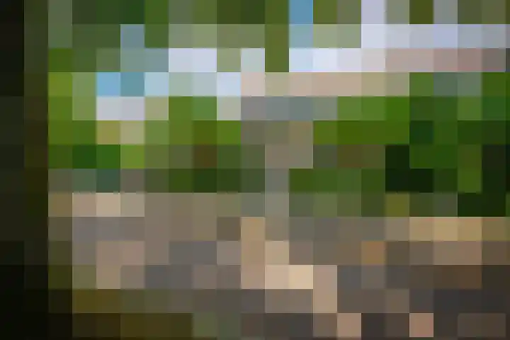 Laan van Beek en Royen 9 Zeist thumbnail 36