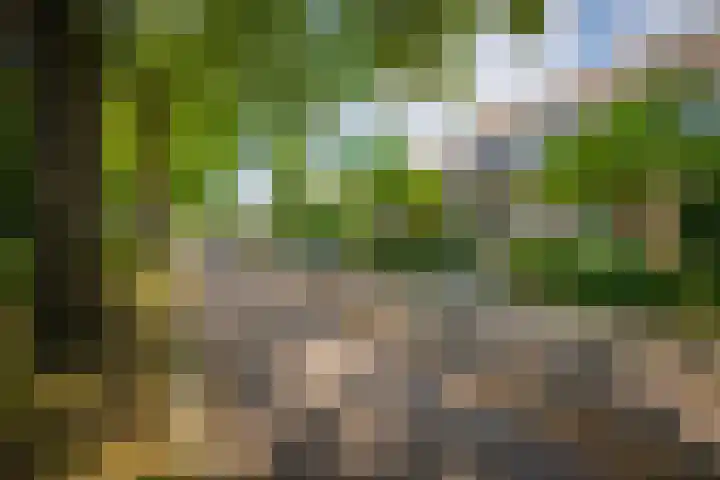 Laan van Beek en Royen 9 Zeist thumbnail 37