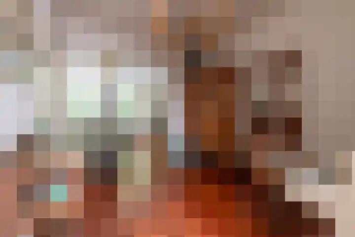 Laan van Beek en Royen 9 Zeist thumbnail 4