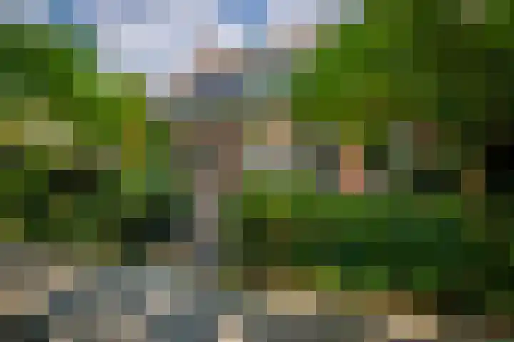 Laan van Beek en Royen 9 Zeist thumbnail 43