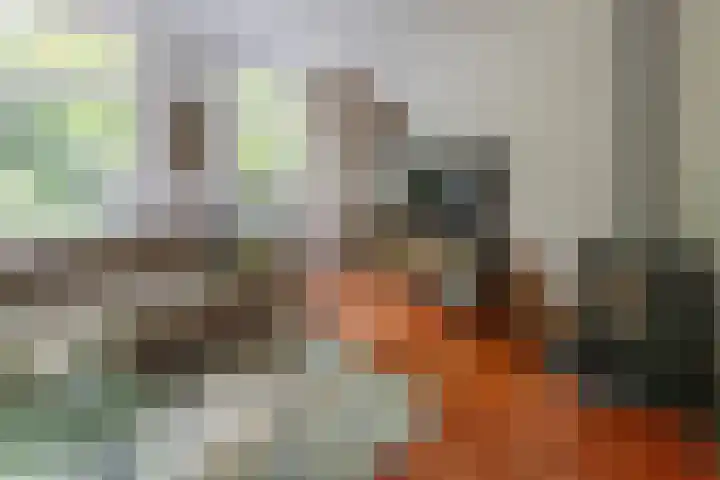 Laan van Beek en Royen 9 Zeist thumbnail 7
