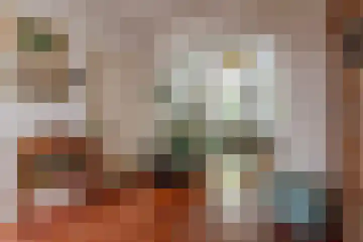 Laan van Beek en Royen 9 Zeist thumbnail 8
