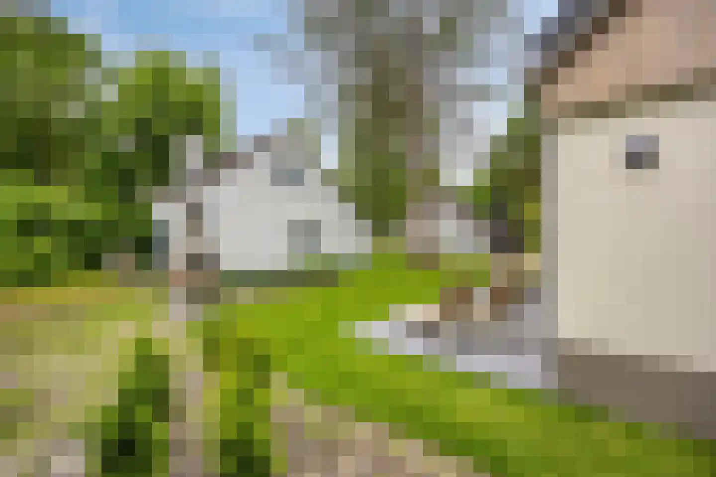 Laan van België 106 Roosendaal thumbnail 23