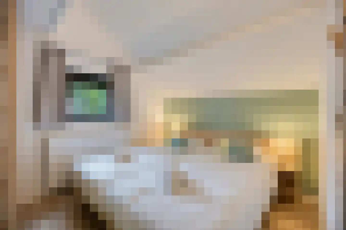 Laan van België 122 Roosendaal thumbnail 15