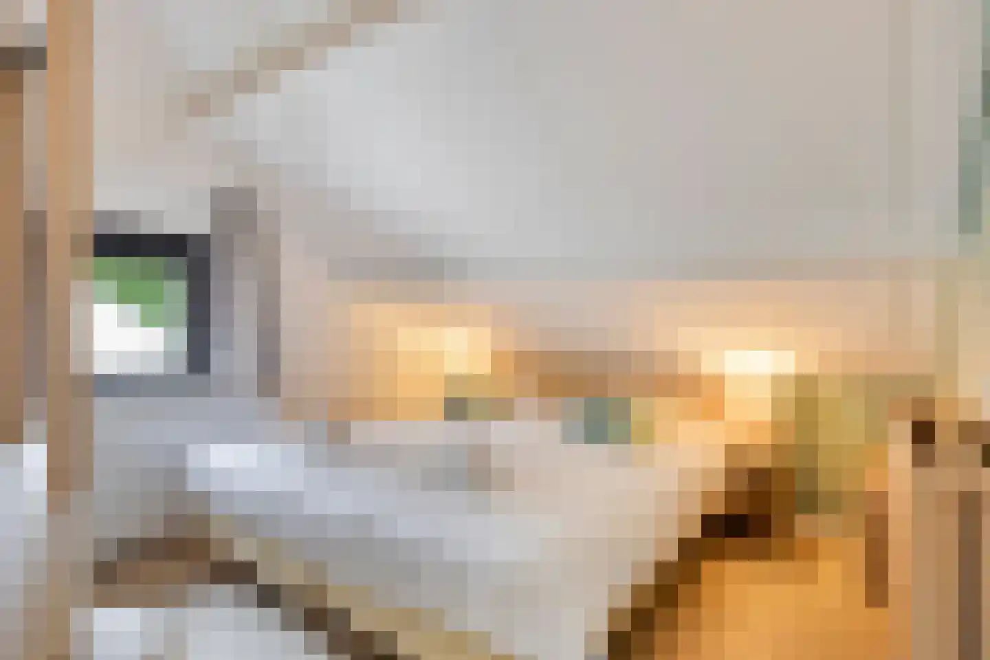 Laan van België 122 Roosendaal thumbnail 23
