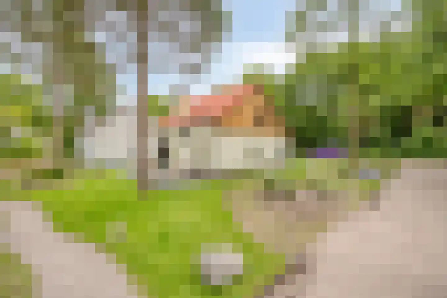 Laan van België 122 Roosendaal thumbnail 28