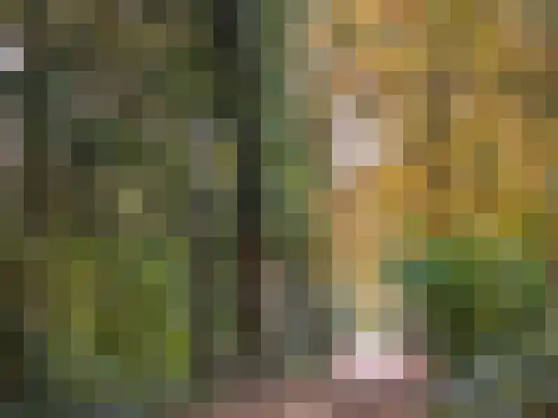 Laan van België 122 Roosendaal thumbnail 31