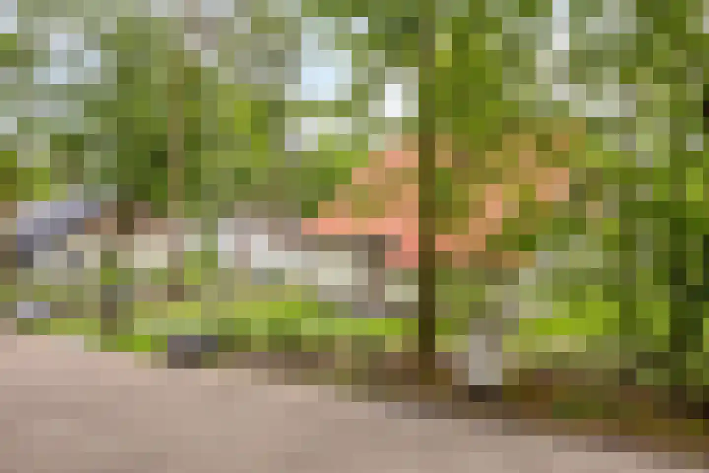 Laan van België 122 Roosendaal thumbnail 4