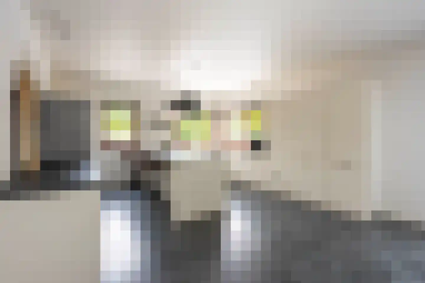Laan van België 134 Roosendaal thumbnail 12