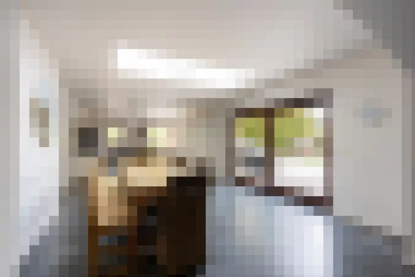 Laan van België 134 Roosendaal thumbnail 16
