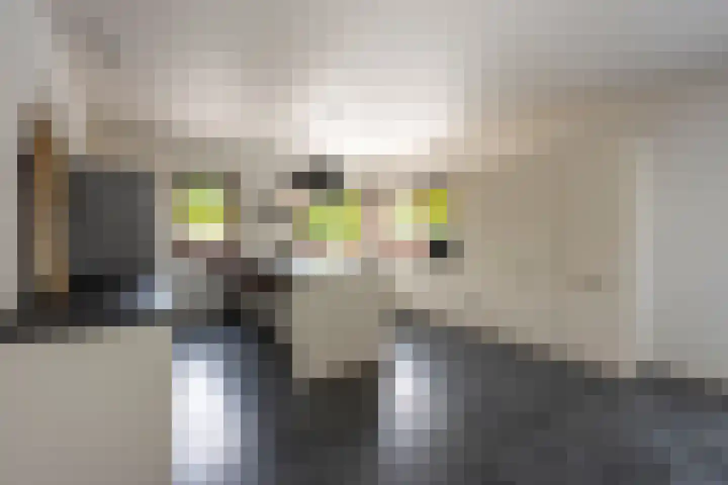 Laan van België 134 Roosendaal thumbnail 17