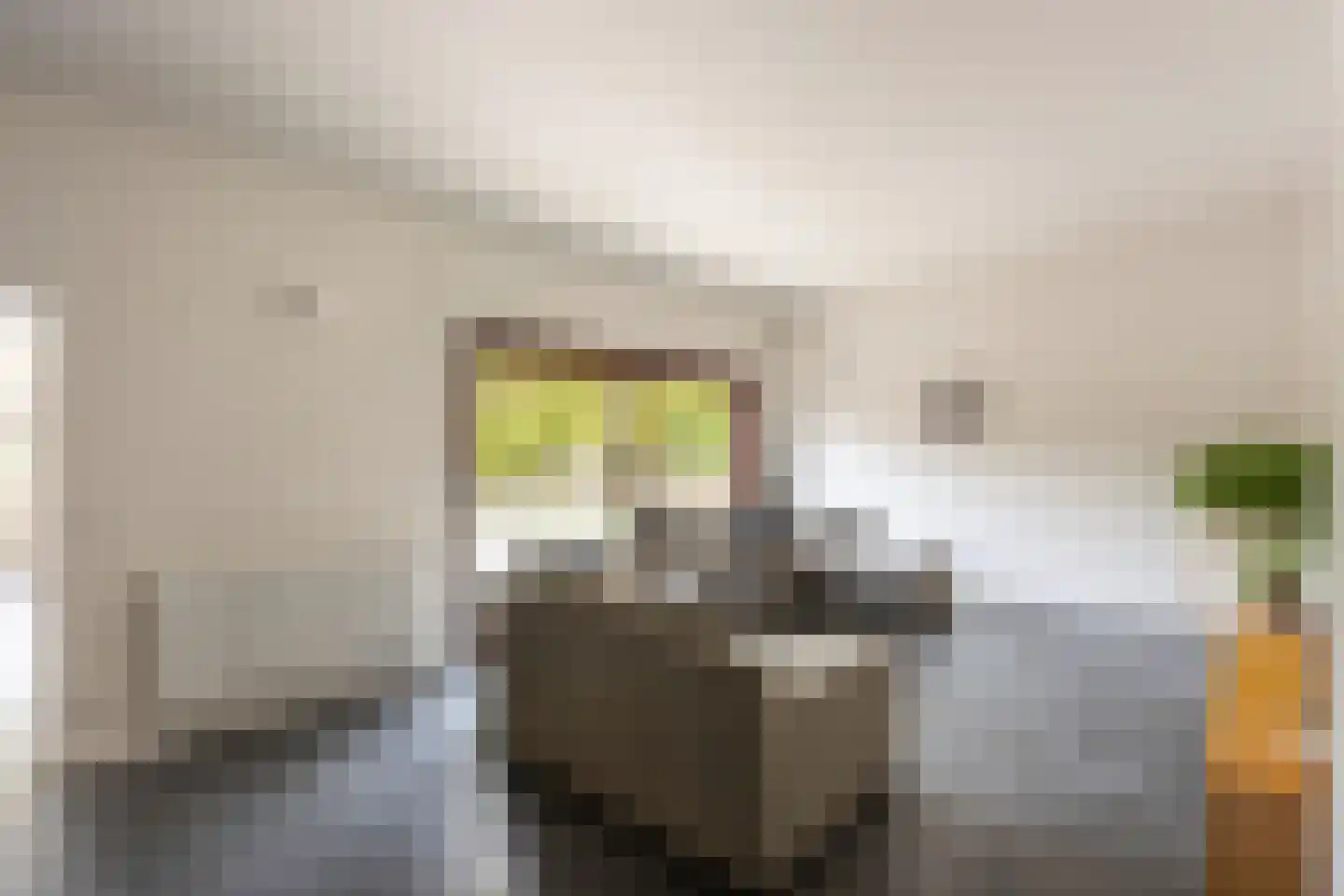 Laan van België 134 Roosendaal thumbnail 20
