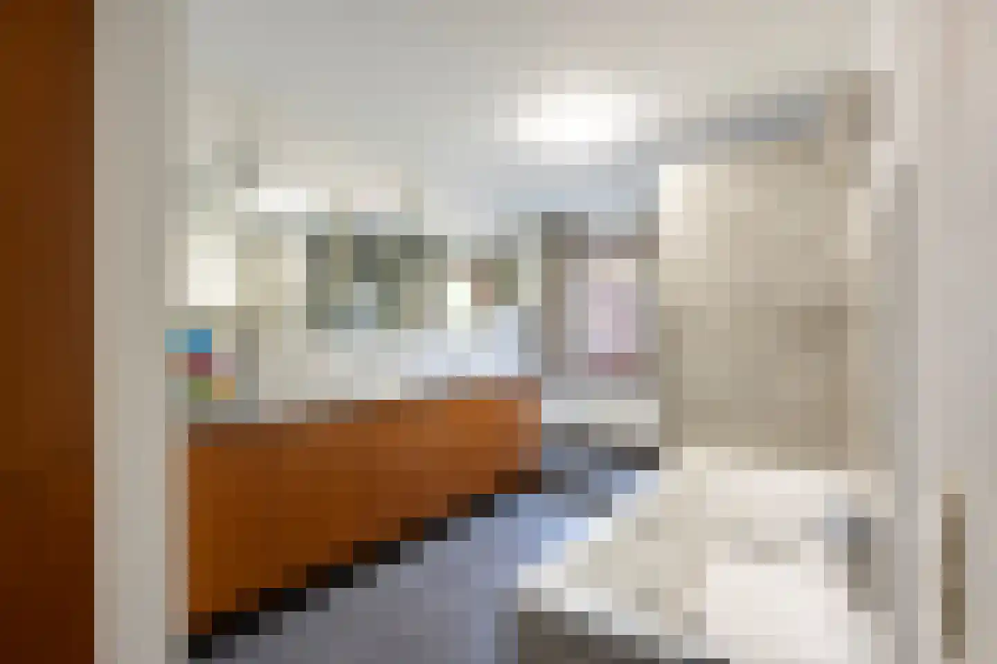 Laan van België 134 Roosendaal thumbnail 26
