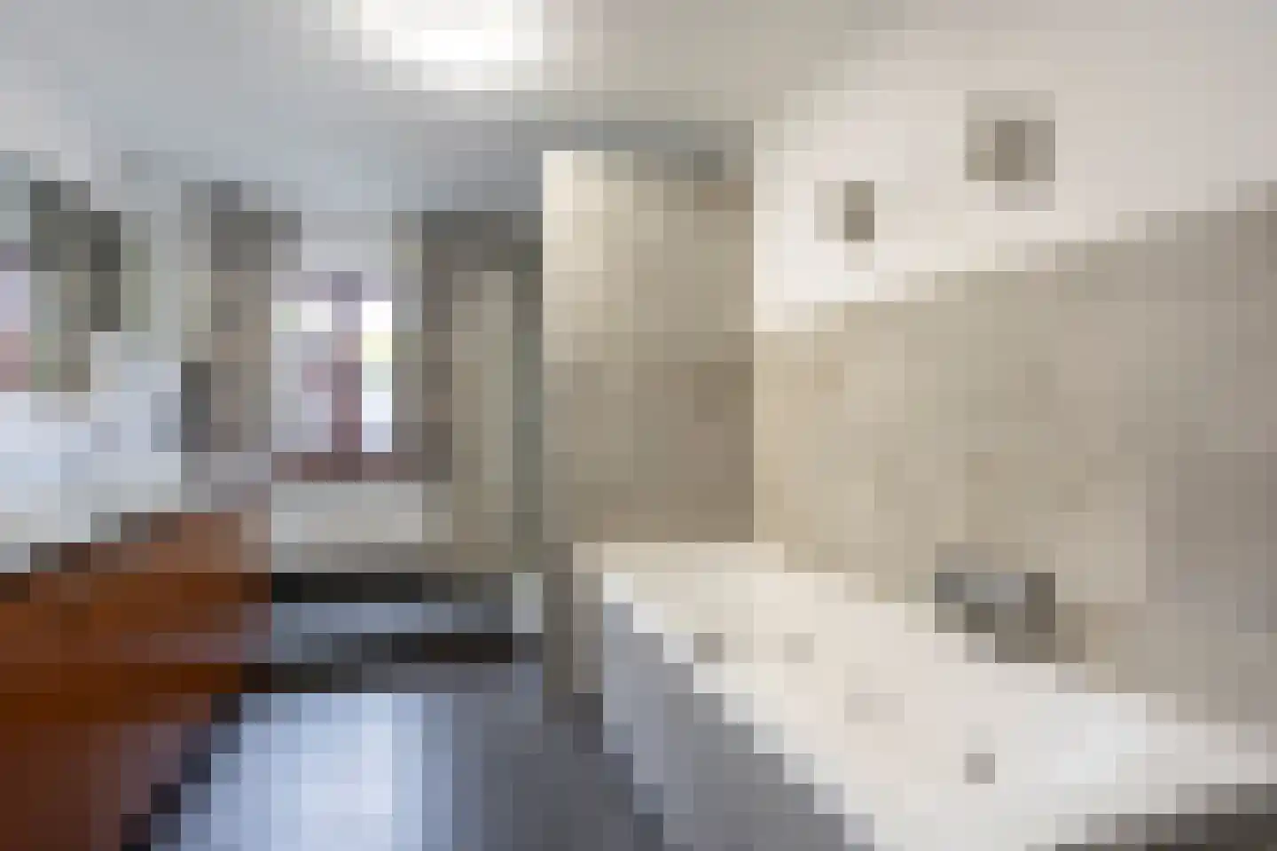 Laan van België 134 Roosendaal thumbnail 27