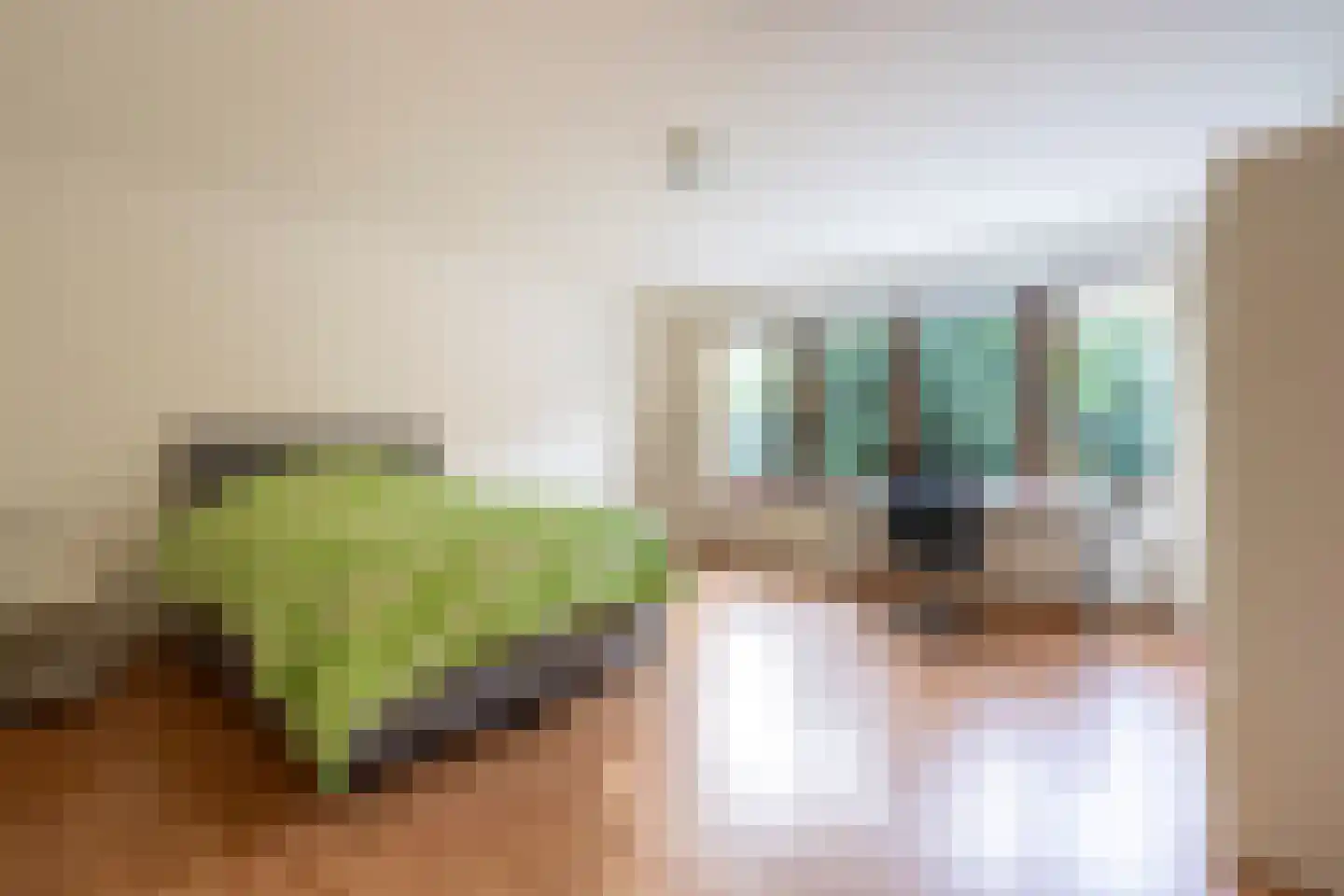 Laan van België 134 Roosendaal thumbnail 31