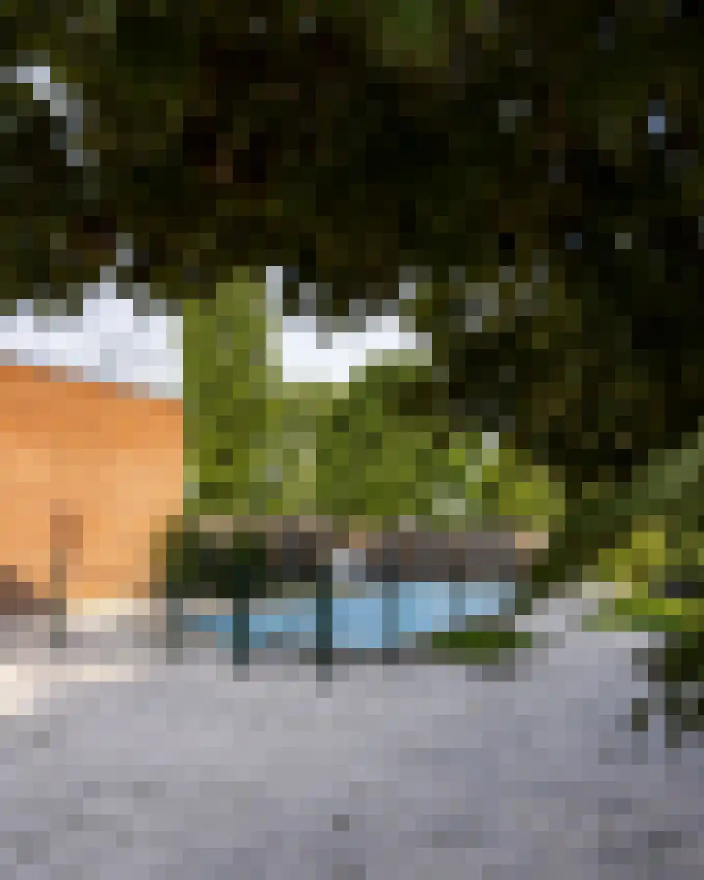 Laan van België 134 Roosendaal thumbnail 39